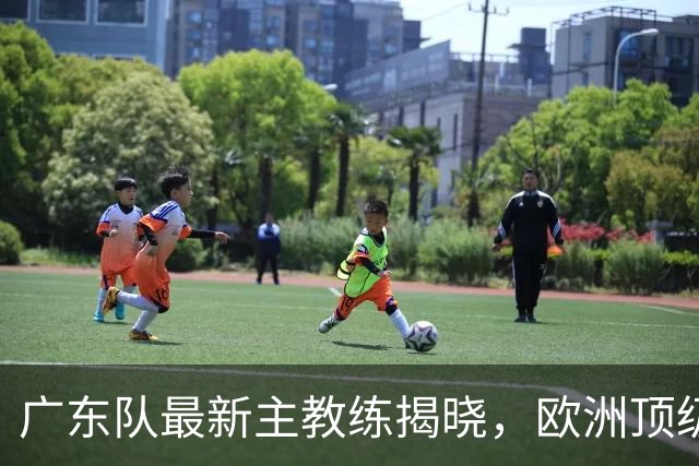 广东队最新主教练揭晓，欧洲顶级外教，徐杰将受重用，胡明轩难了